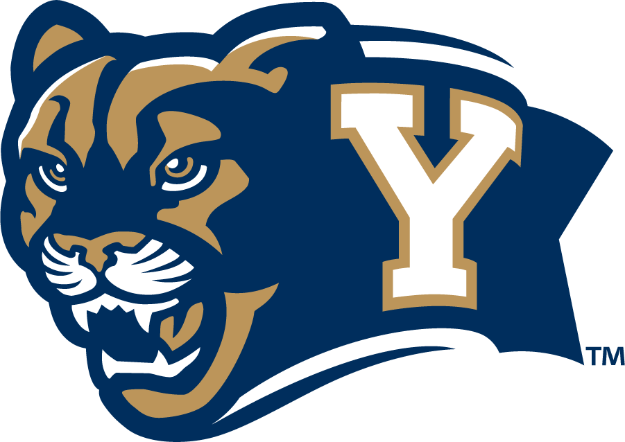 Brigham Young Cougars 2010-2014 Secondary Logo diy iron on heat transfer